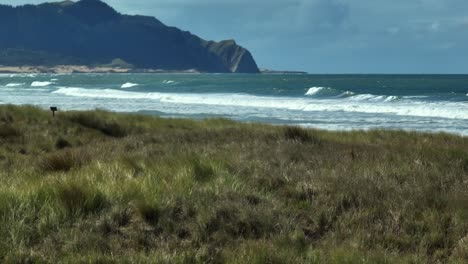 oceans beach natural wild new zealand coastline, couple walking on shore