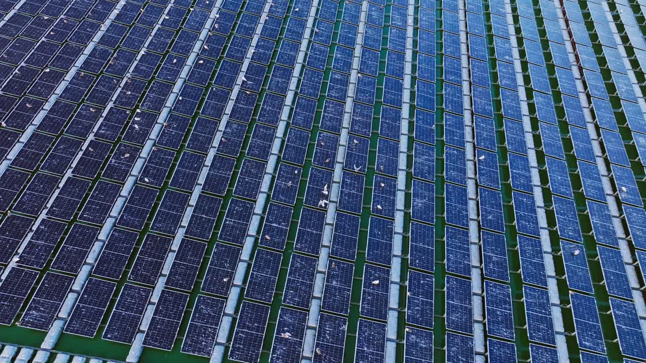 Drone orbit captures floating solar panels, seagulls resting peacefully on top