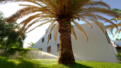 summer house and automatic sprinkler watering the garden