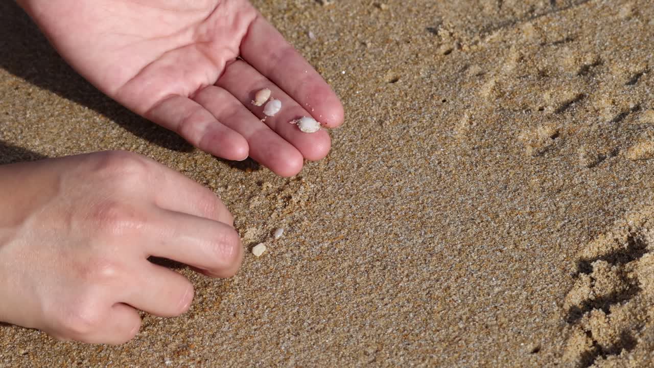 모래에 발자국 근처에서 데기를 모으는 손