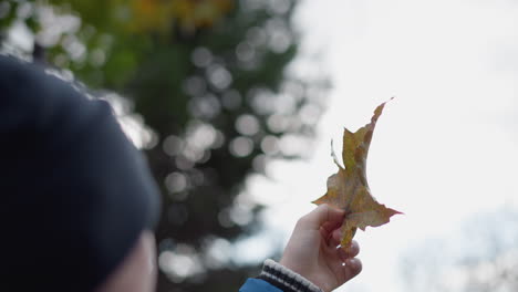 close-up of hand holding dried, rusted leaf, observing it thoughtfully, surrounded by vibrant greenery with sunlight filtering through trees