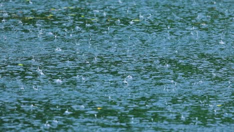 Abstrakter-Hintergrund,-Regentropfen-Auf-Dem-Wasser.