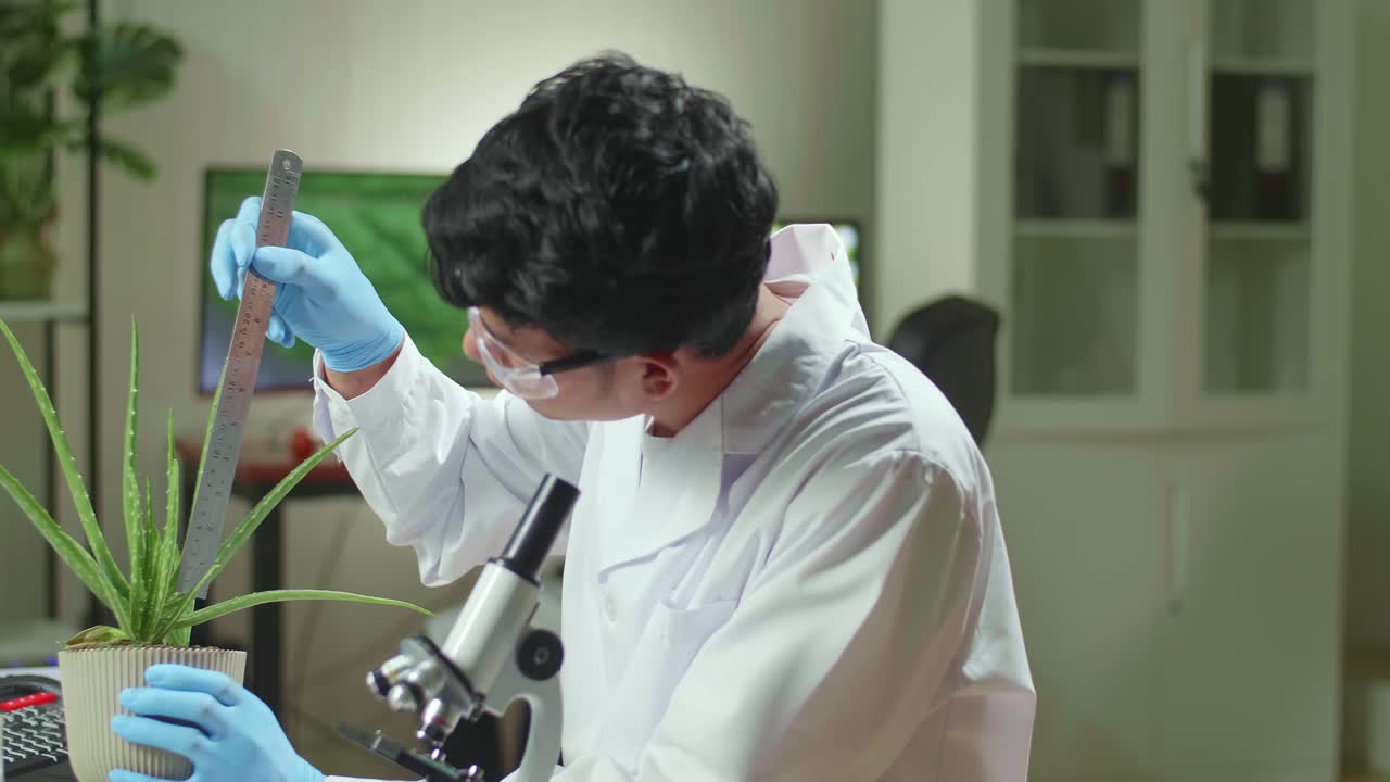 Asian Man Researcher Measure Sapling For Botany Experiment Working In Biological Laboratory. Biochemist Scientist Examining Organic Plants