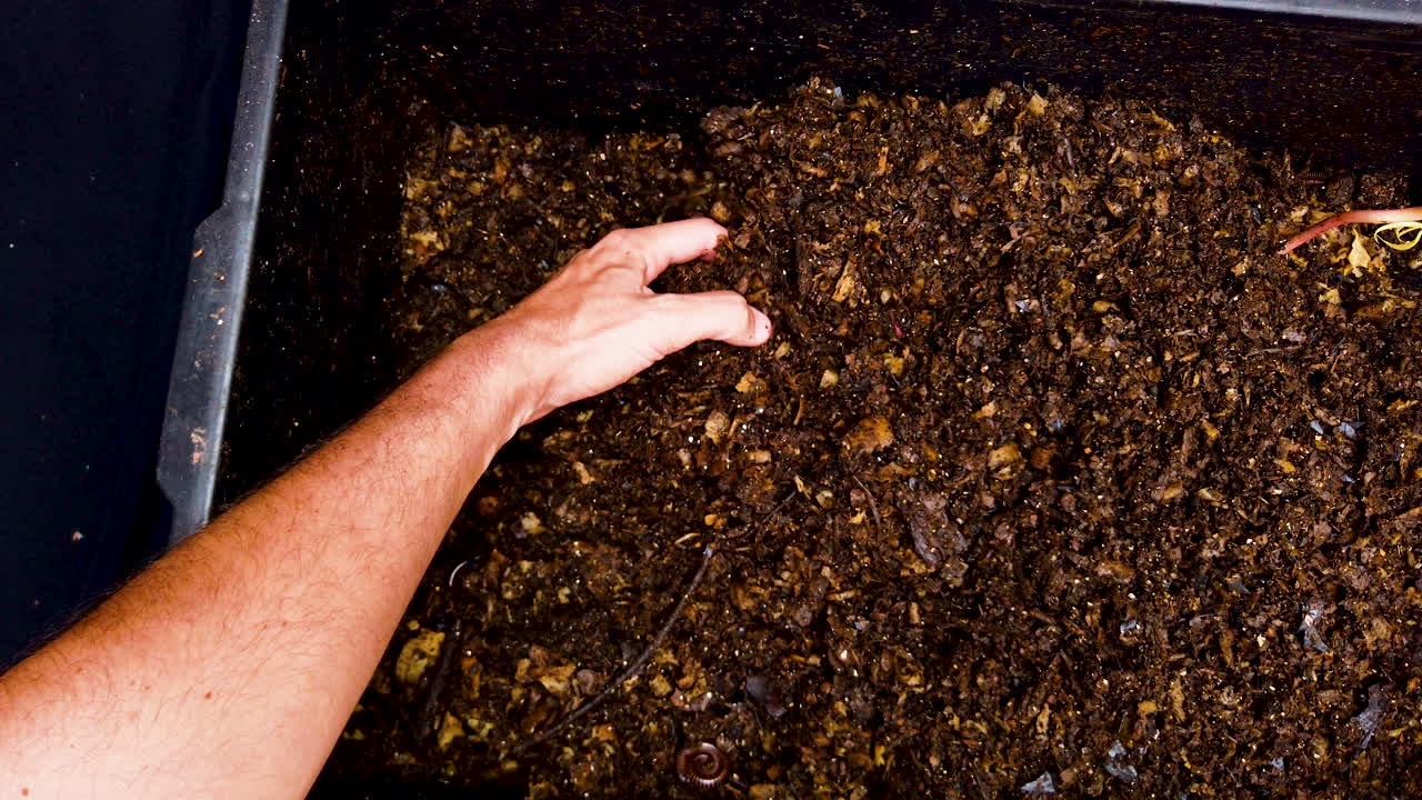 reciclaje de residuos biológicos, residuos orgánicos de cocina, compostaje de residuos alimentarios