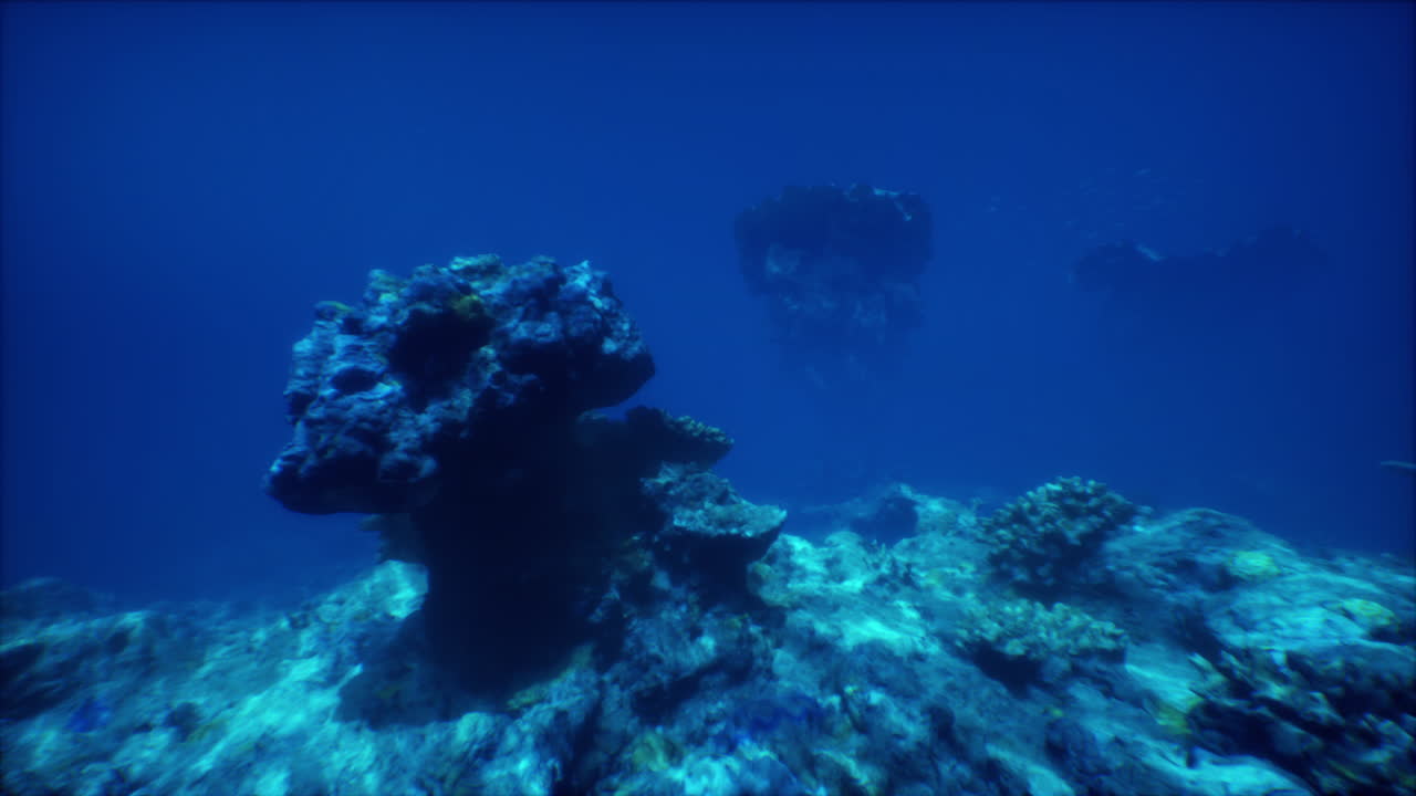arrecife de coral submarino