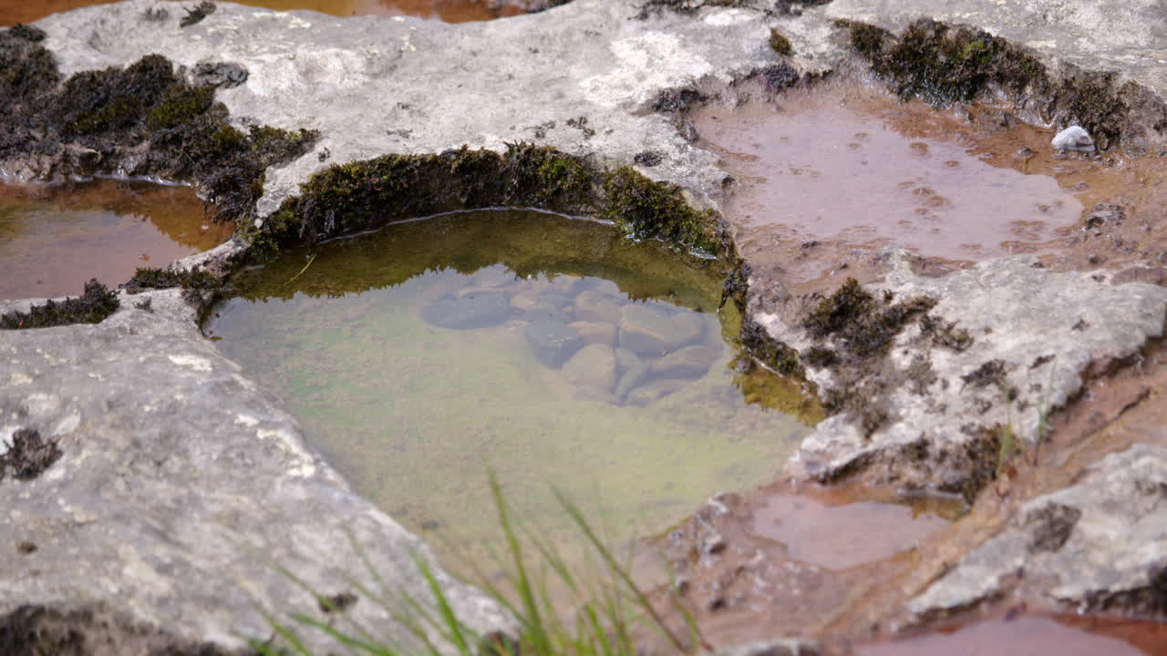 fotografía de cerca de los agujeros de queso suizo de piedra caliza con agua y grava en el interior