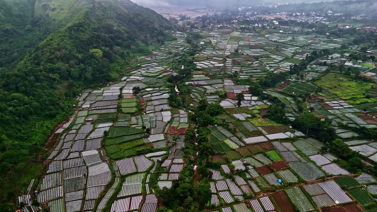 Drone view of colorful patterned farmland valley from Bukit Selong viewpoint in Lombok
