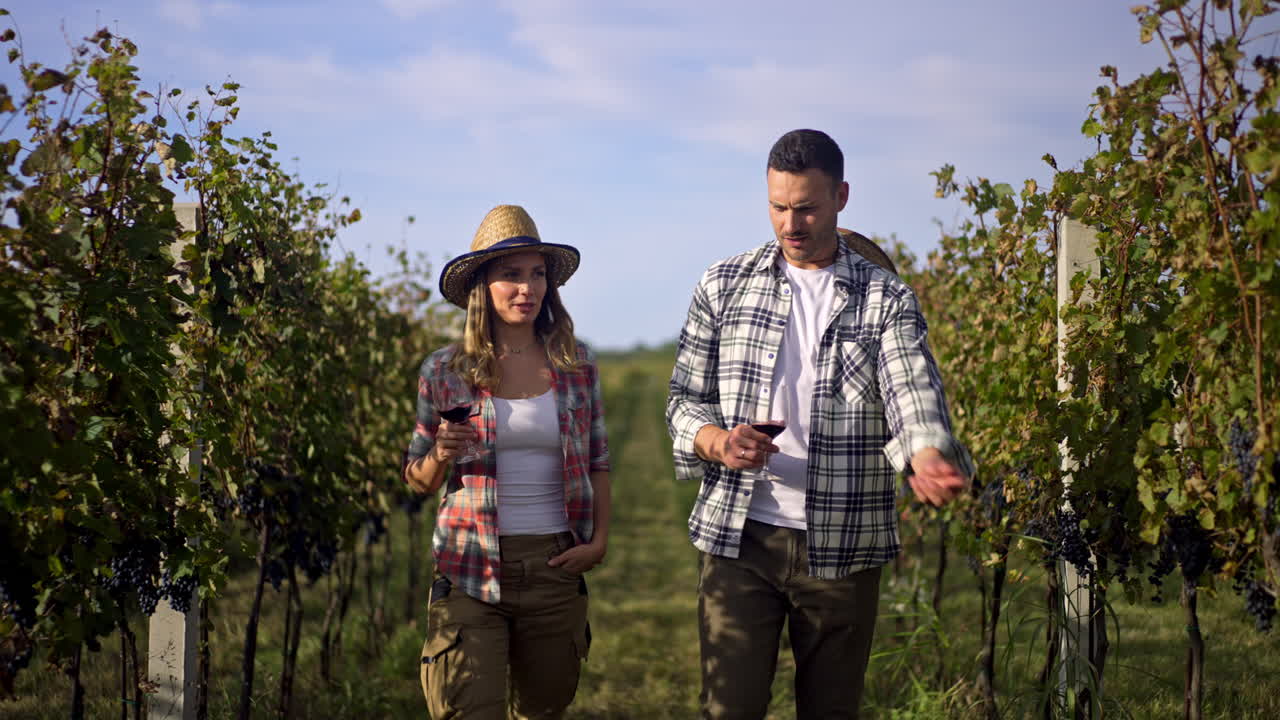 Couple Enjoying Wine in a Vineyard