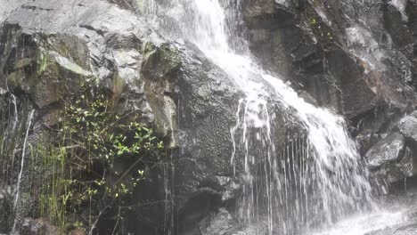 Cascada-De-Uyala-En-El-Bosque.