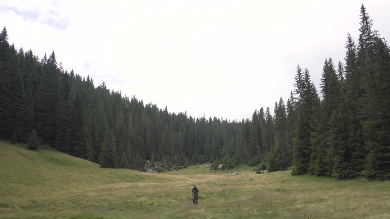 Hiker walking through a clearing towards the camera