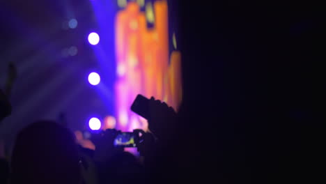 People-having-a-good-time-on-the-pop-concert