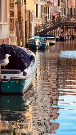 venice canal scene with boats and reflections