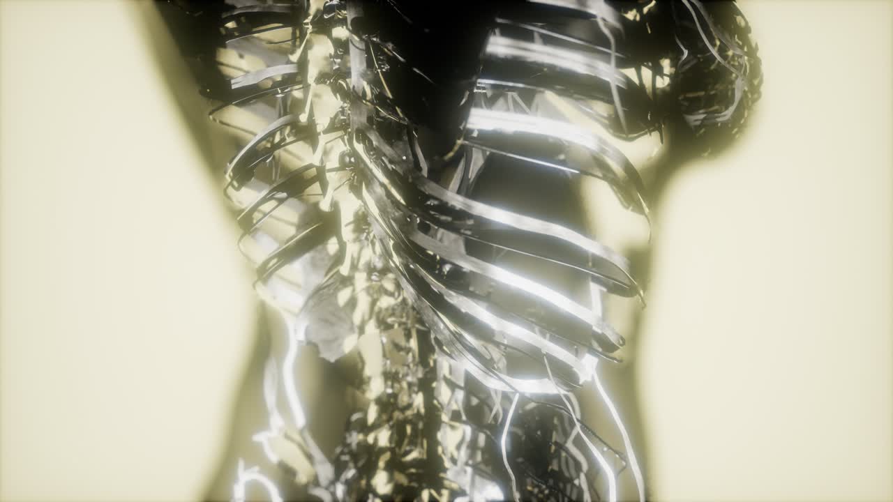 순환계의 혈관에 있는 혈액의 검사