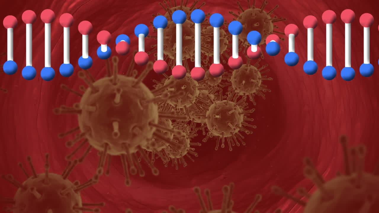 dna 스트랜드 스핀링과 매크로 코로나 19 세포의 애니메이션