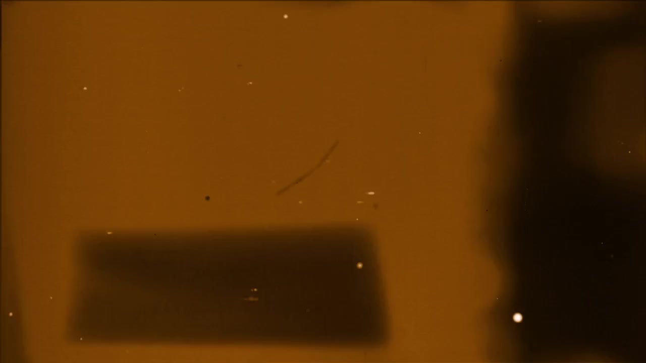 Vintage Film Grain and Dust Texture Overlay