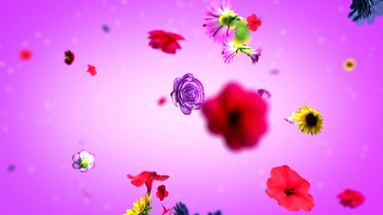 다채로운 큰 꽃 배경 4k