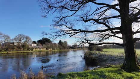 el río suir en kilsheelan temprano en una brillante mañana de invierno