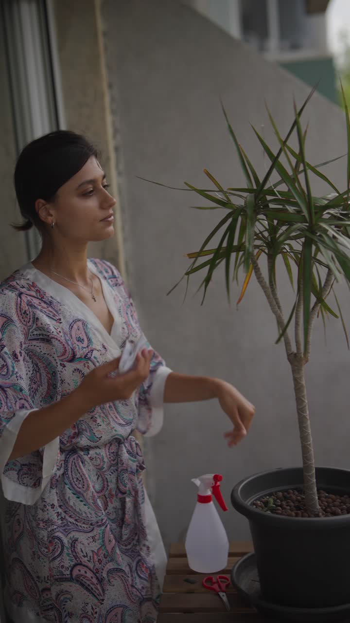 Woman Caring for a Dracaena Plant on a Balcony