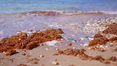 Sea-waves-washing-the-stones-on-the-shore-in-ultra-slow-motion