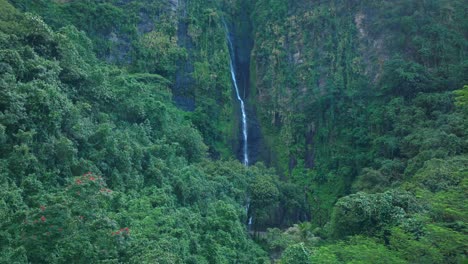 stunning waterfall in lush tropical forest