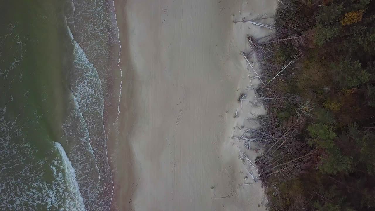 Beautiful aerial birdseye view of Baltic sea coast on a sunny evening, sunset, golden hour, beach with white sand, coastal erosion, climate changes, wide angle drone shot moving forward