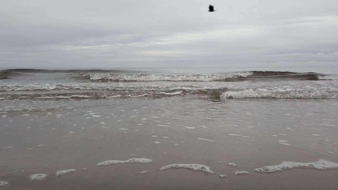 무한하고 넓은 바다와 물 위를 나는 새, 페데스탈 다운샷