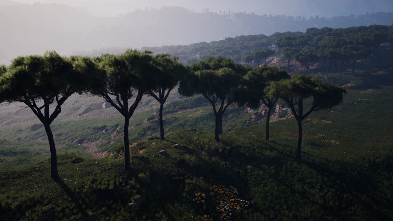 케냐 사바나 의 공중 촬영