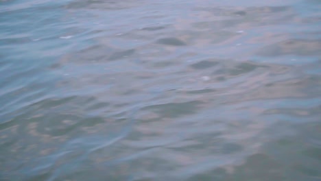 waves on river water