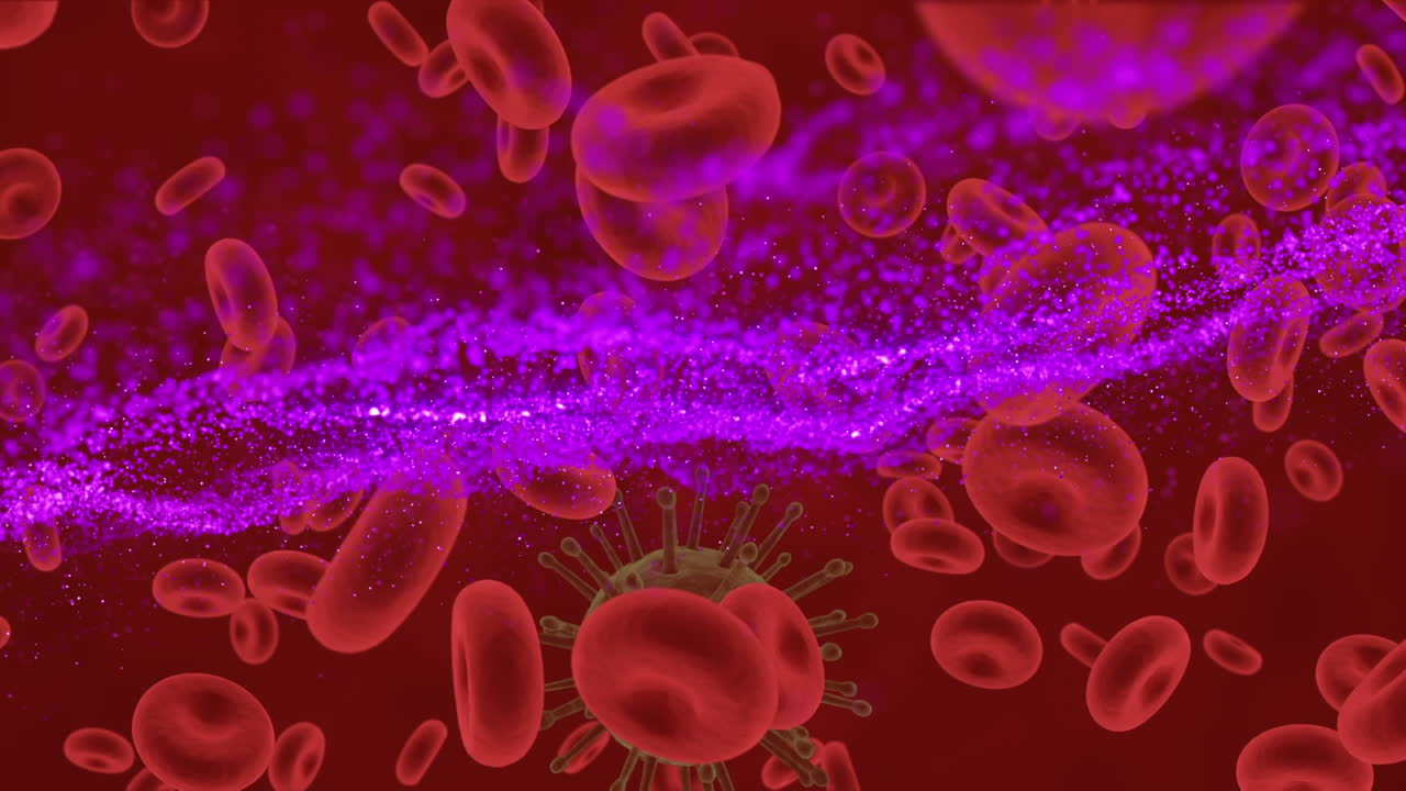 animación de la onda púrpura sobre las células en movimiento sobre fondo rojo