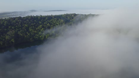 Lake-Barrine---Süßwassersee-Umgeben-Von-üppigem-Tropischem-Regenwald-Im-äußersten-Norden-Von-Queensland,-Australien---Luftaufnahme