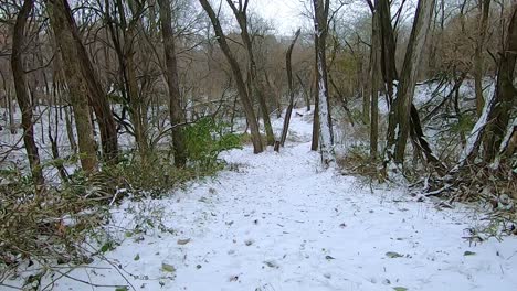 POV-from-the-front-of-SUV-while-driving-through-the-woods-on-a-snow-covered-path-on-a-cloudy-winter-afternoon