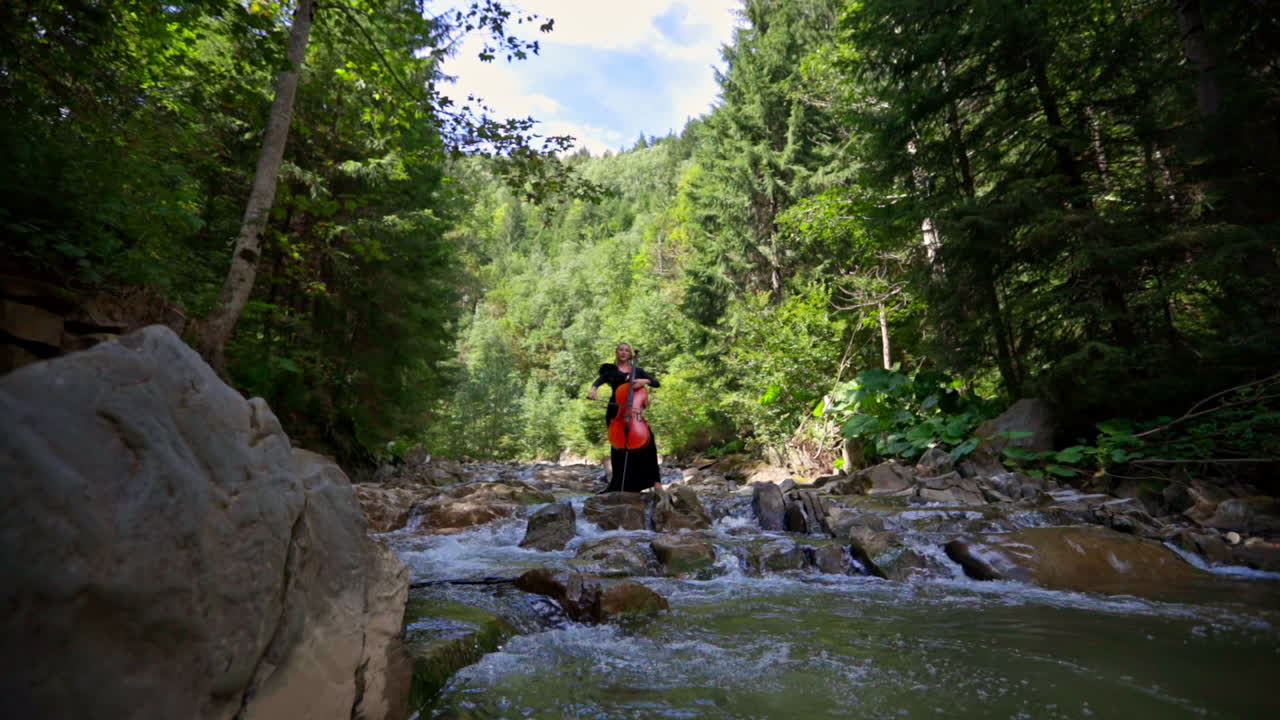 Beautiful girl with the cello in the river. Woman is playing the musical instrument while standing on stones inside the forest river on green nature background.