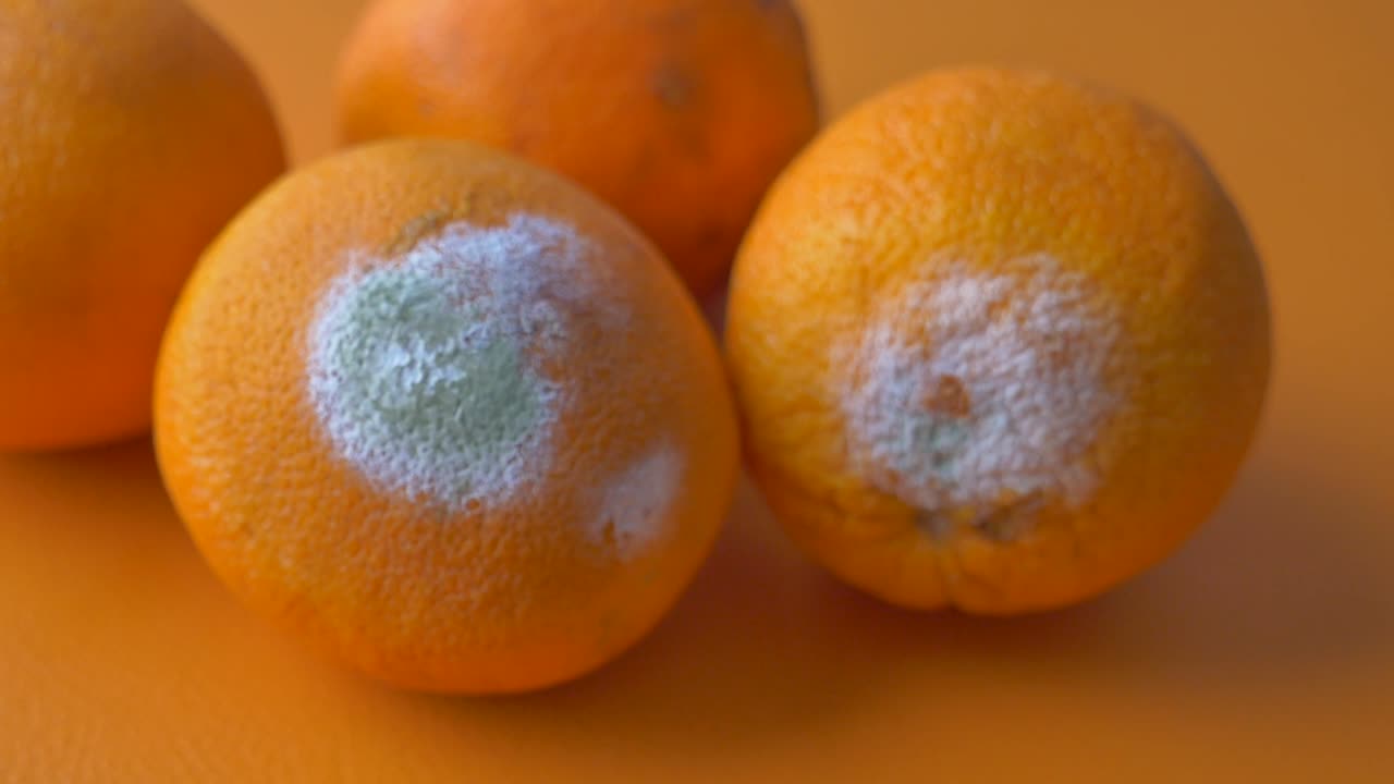 naranjas con moho