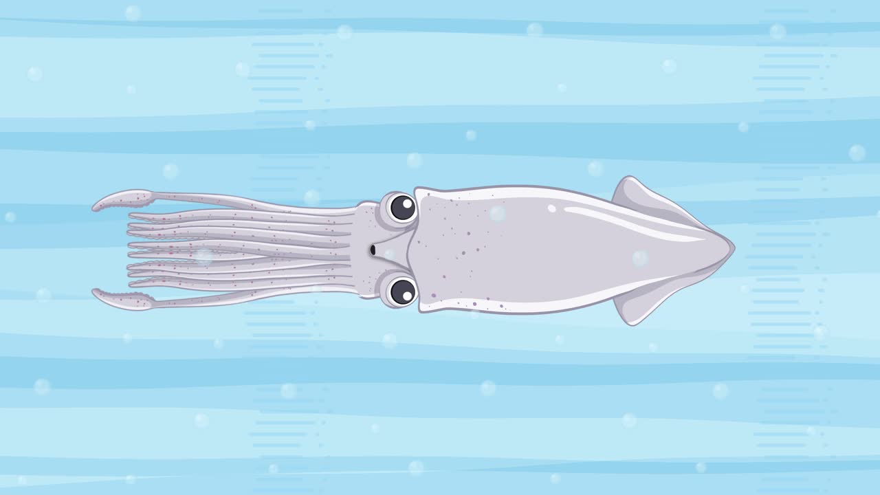 el bucle de natación del calamar en un océano estilizado.