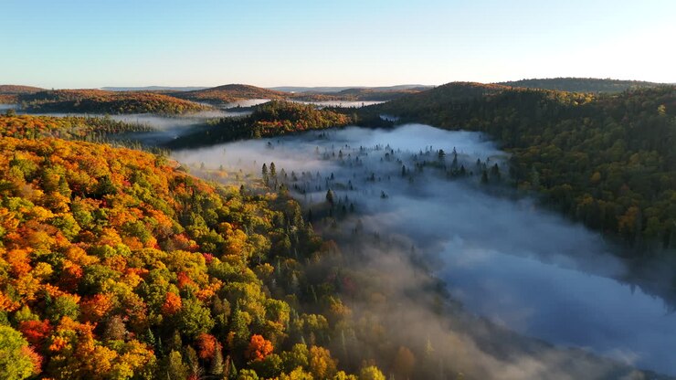 Vue aérienne d’une forêt et de montagnes automnales aux couleurs vives avec le brouillard matinal dans la Mauricie, au Québec, Canada. La douce lumière du soleil illumine le feuillage coloré au-dessus d’une nature paisible.