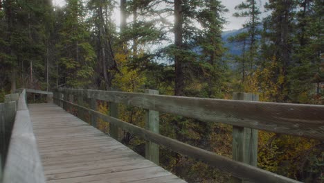 Boardwalk-in-forest-at-autumn-pan