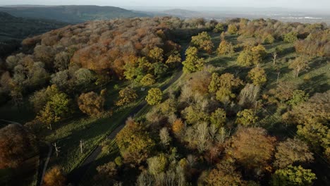 Árboles-De-Otoño-Cotswolds-Crickley-Hill-Paisaje-Boscoso-Campo-Aéreo-Reino-Unido