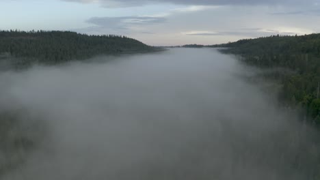 flying the fog covering the green forest on the mountain