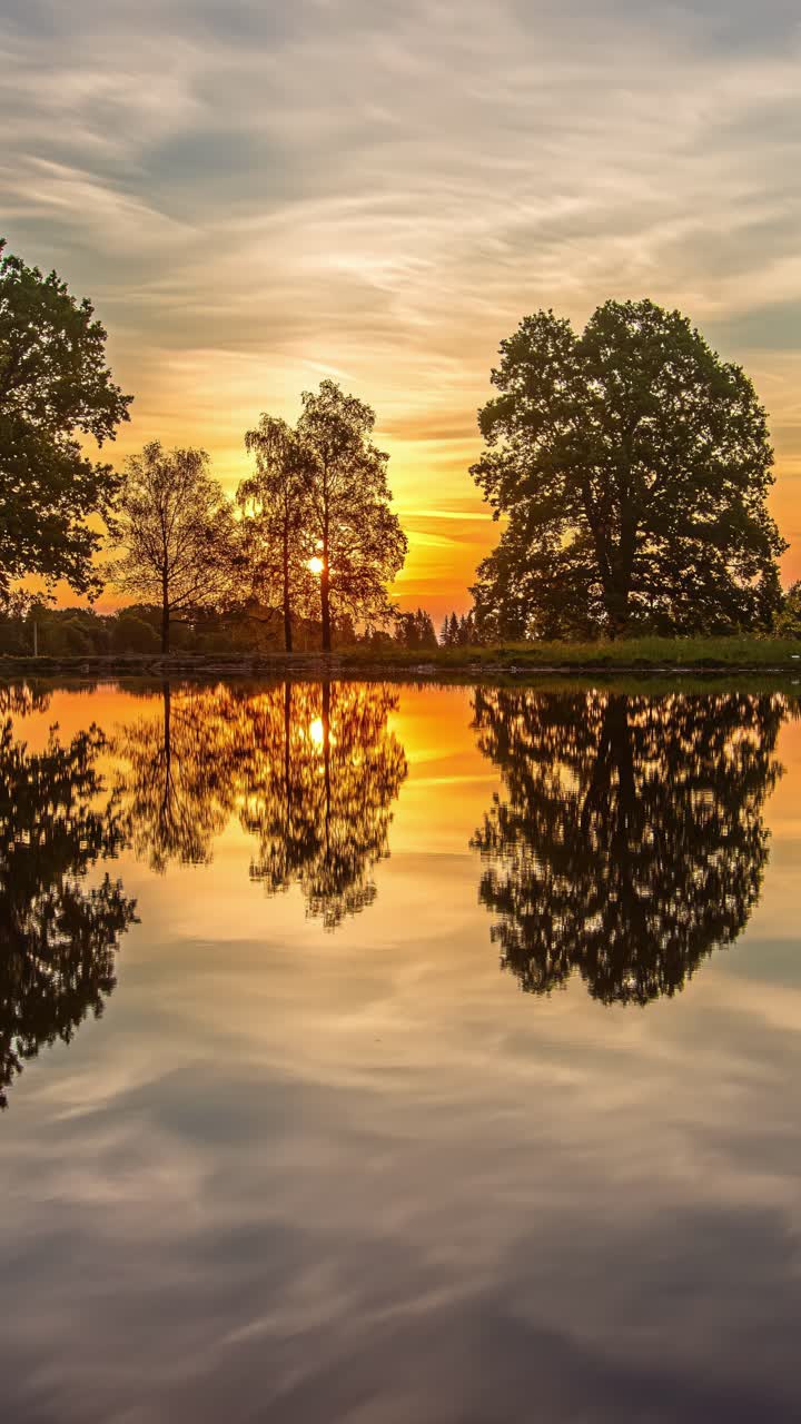 Sunrise timelapse nature landscape water lake pond forest reflection, vertical video