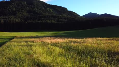 aerial view of green pasture fields surrounded by forest, with austrian mountains in the background