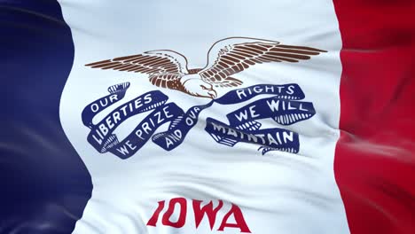 iowa (u.s. state) flag waving in the wind with highly detailed fabric texture. seamless loop