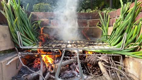 Closeup-of-delicious-Calçot-being-cooked,-typical-Catalan-dish,-process-of-burning,-slow-motion,-static