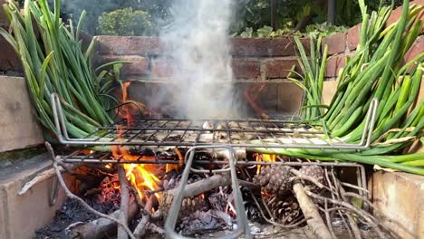 Primer-Plano-De-Un-Delicioso-Calçot-Cocinado,-Plato-Típico-Catalán,-Proceso-De-Quemado,-Cámara-Lenta,-Estático