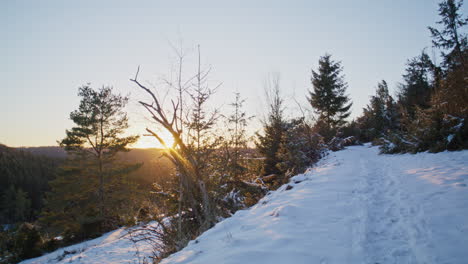 walking alone on a small hill path in the evening sun on a chill winter day