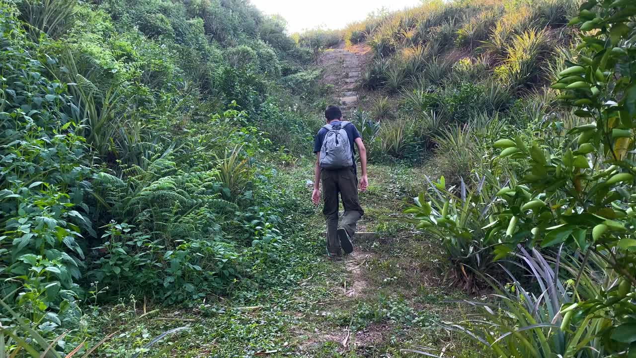 hombre mochilero preguntándose al aire libre en el típico campo de jardín de piña en bangladesh