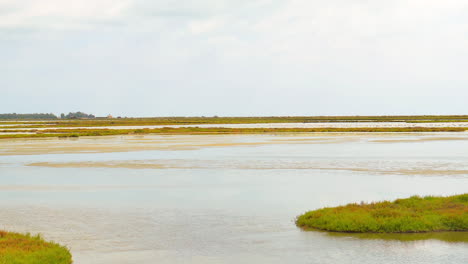 panoramic view on a sunny day of the ebro delta in spain