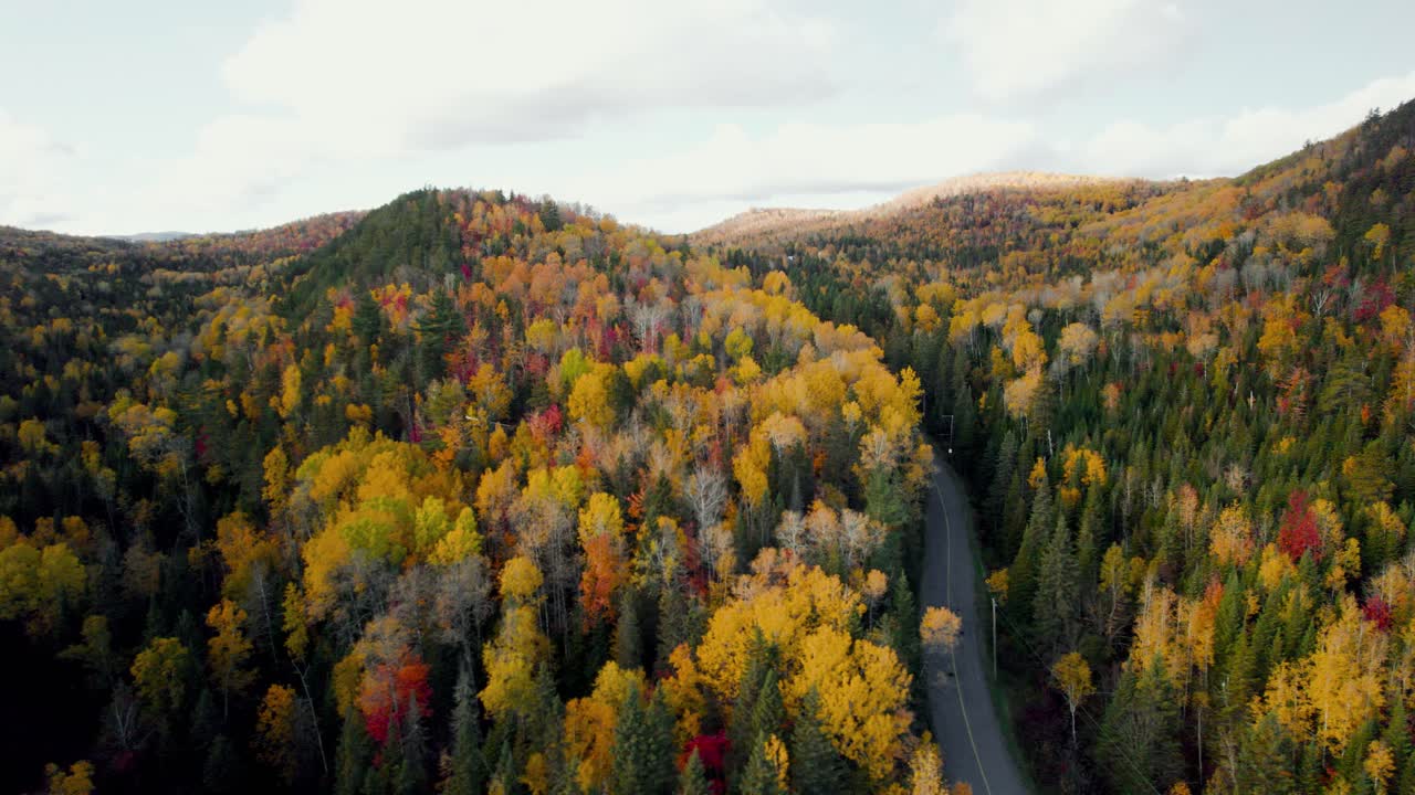 Mountains and rolling hills covered with lush fall foliage, Road cuts through mountains, Aerial Drone view