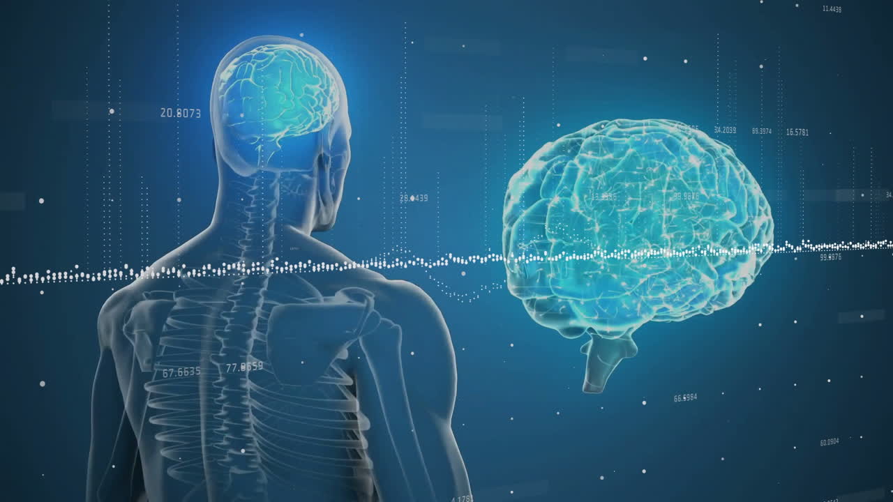 디지털 인간과 뇌에 대한 데이터 처리 및 다이어그램의 애니메이션