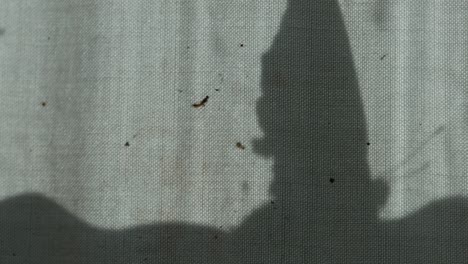 the shadow of the window and the butterfly on the curtain