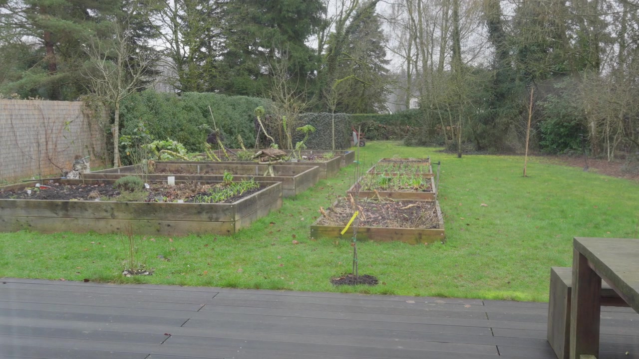 Een vredig uitzicht op houten verhoogde plantenbakken in een weelderige groene achtertuin van een woonhuis.